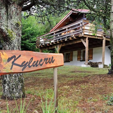 Chalet Kylucru 6 Personnes Classe 2 Etoiles Villa Xonrupt-Longemer ภายนอก รูปภาพ